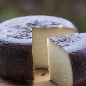 pecorino_maremma
